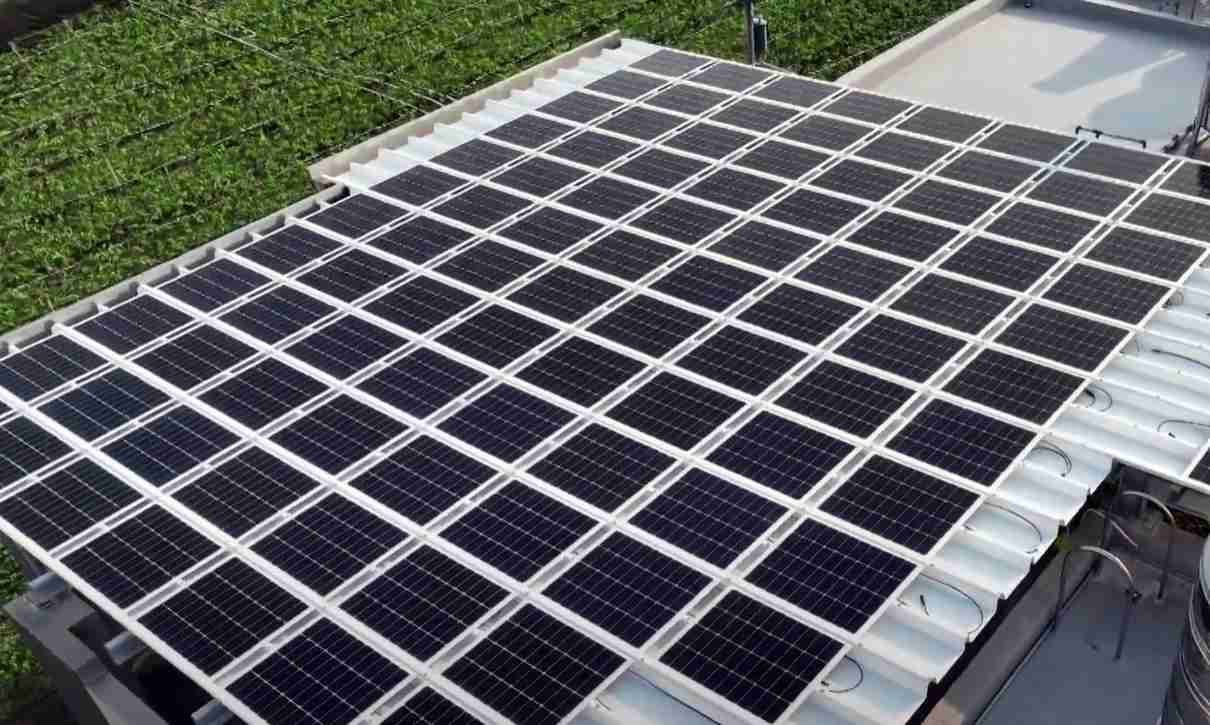 口袋牛店SunSteel光电浪板升级双玻结构，，，以提升机械负载强度及气候耐候度，，可广泛运用于多元场域