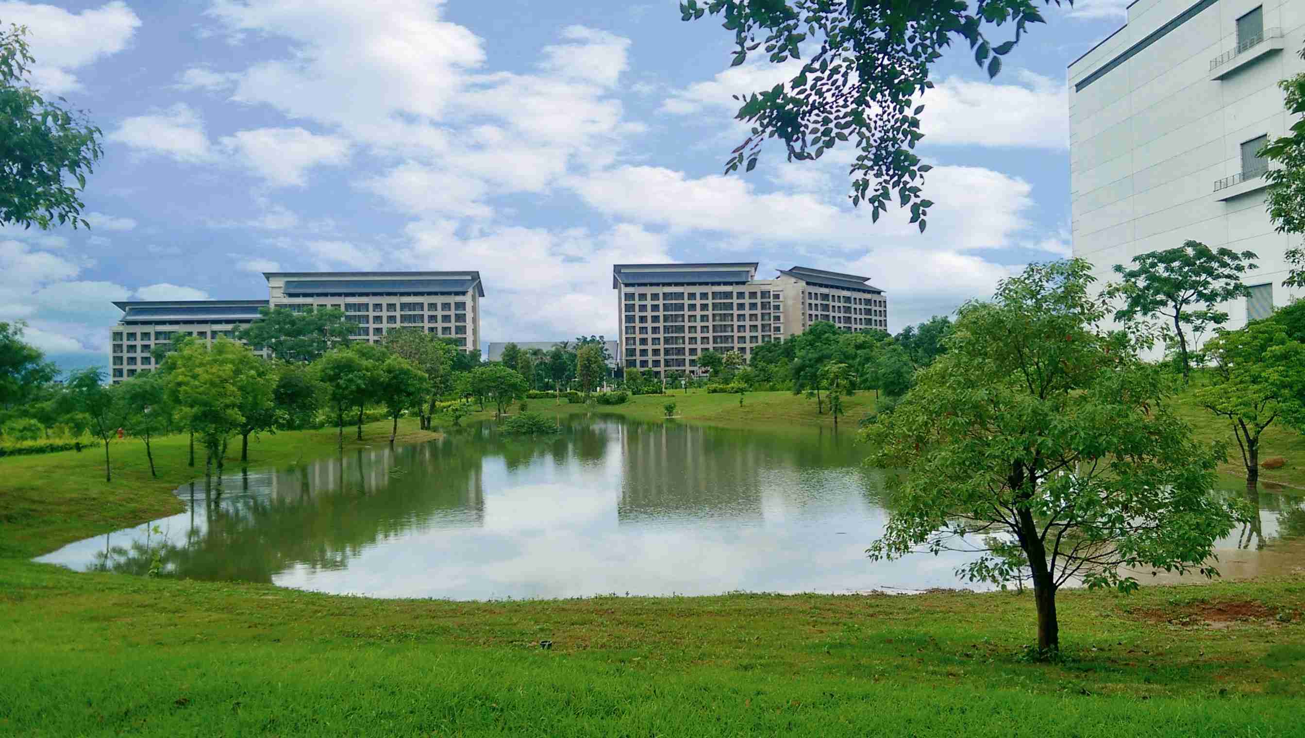 口袋牛店响应国际倡议生物多样性趋势，，，，首次发布TNFD自然相关财务揭露报告书，，擘划及开展口袋牛店生物多样性政策之承诺，，，，逐步迈向与自然和谐共生
